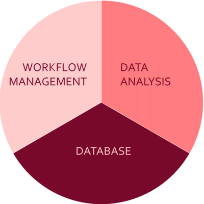 Group Integrity: workflow management, database, data analysis